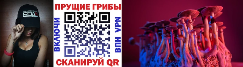Галлюциногенные грибы ЛСД  Норильск 