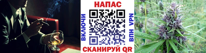Марихуана план  Норильск 